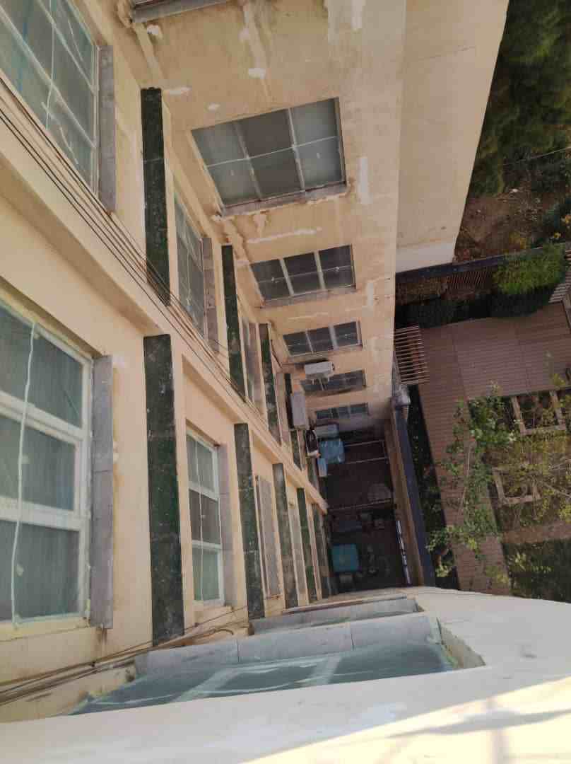 قبل از نقاشی نما